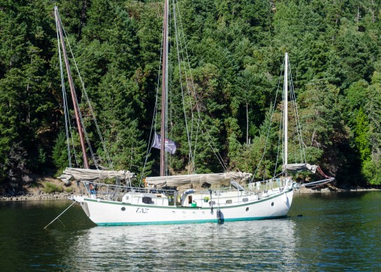 Taz, seen in Lyall Harbour, Saturna Island, BC.